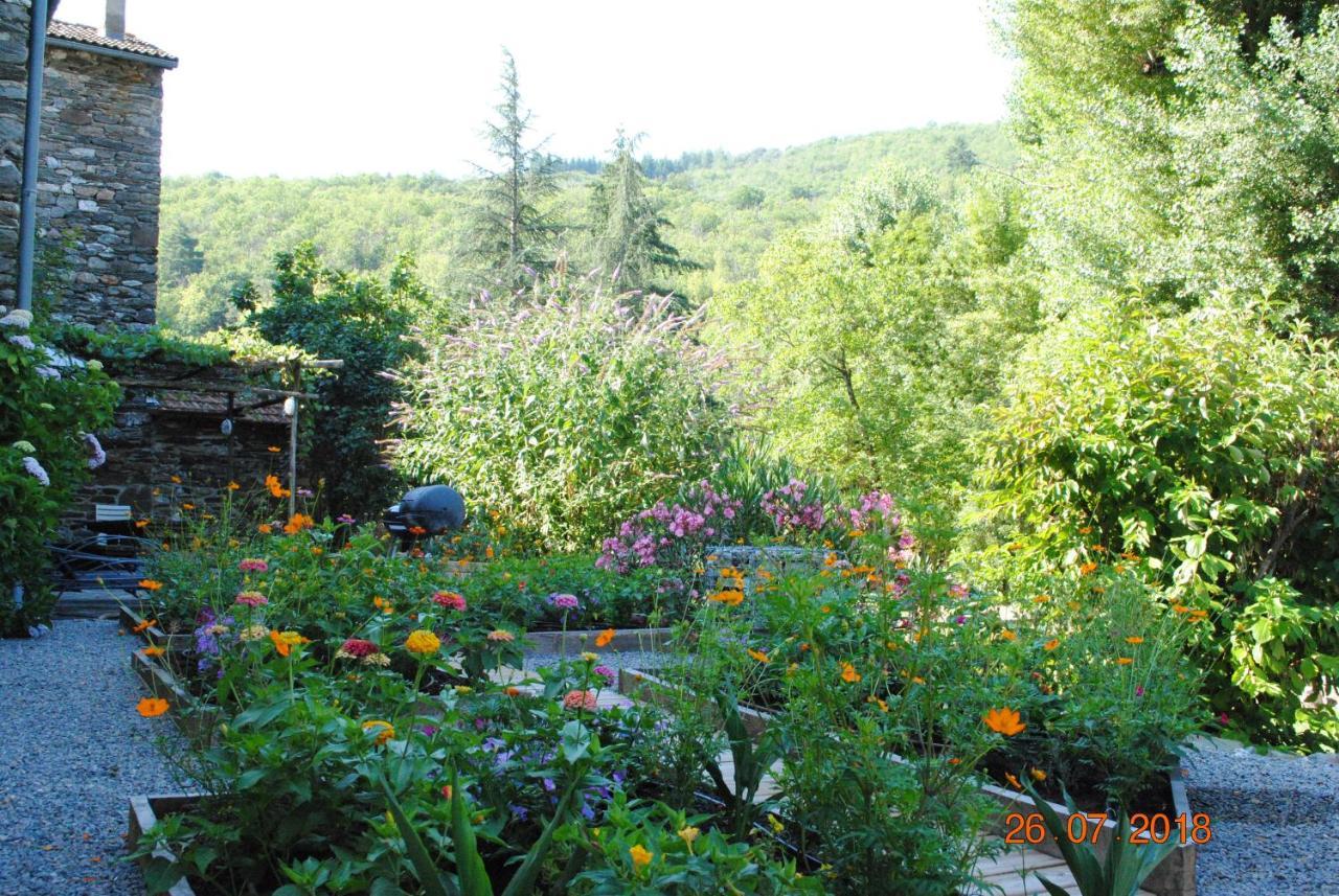 Alberguiere - Piscine Chauffee - Plancha - Barbecue Sainte-Croix-Vallee-Francaise Exterior photo